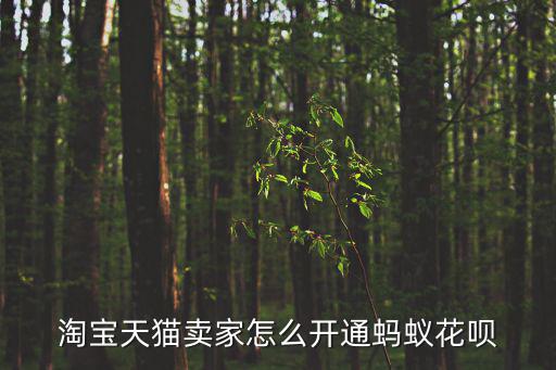 賣家怎么開通淘寶花唄支付功能，淘寶賣家怎么設(shè)置買家可以花唄付款