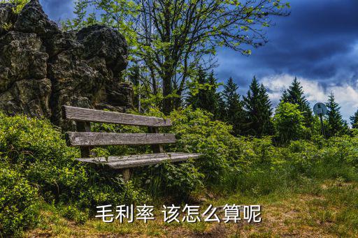 毛利率 該怎么算呢