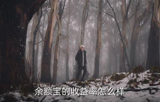 余額寶收益怎么樣，余額寶好不好啊收益如何