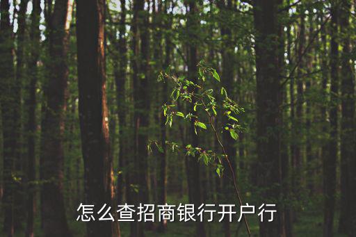 怎么查招商銀行開戶行
