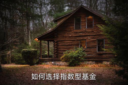 如何選擇指數(shù)型基金