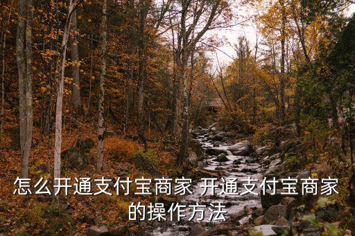 螞蟻商戶怎么開通，如何申請螞蟻金融商戶