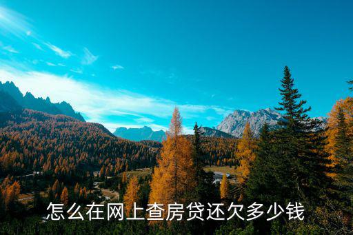 怎么在網(wǎng)上查房貸還欠多少錢