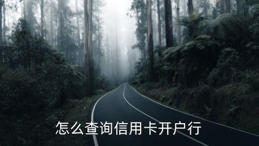 怎么查信用卡開戶信息，怎么查詢信用卡開戶行