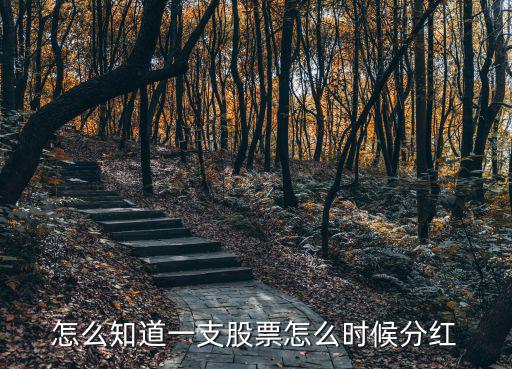 怎么知道股票哪天分紅，怎樣知道所買的股票什么時(shí)候分股息什么時(shí)候分紅利所有的個(gè)股有