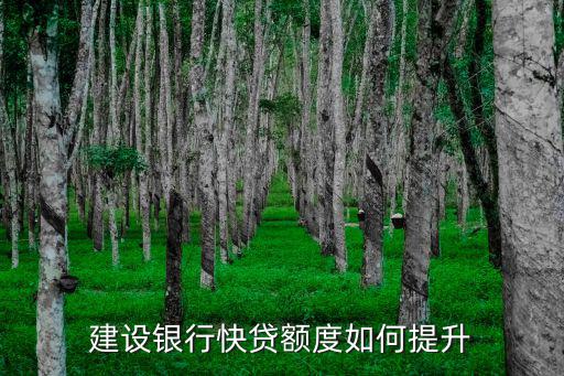建設銀行快貸額度如何提升