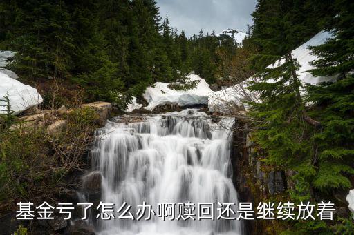 基金虧損了怎么辦，基金虧了怎么辦啊贖回還是繼續(xù)放著