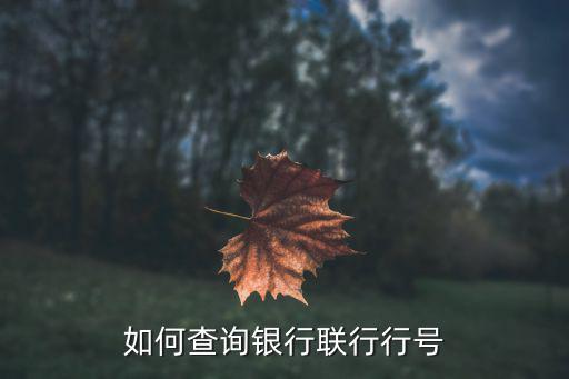 如何查詢銀行聯(lián)行行號