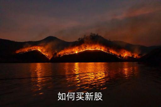 怎么買新股，新手請教如何申購新股