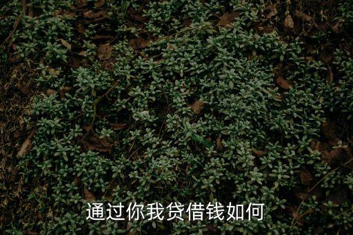 通過(guò)你我貸借錢(qián)如何