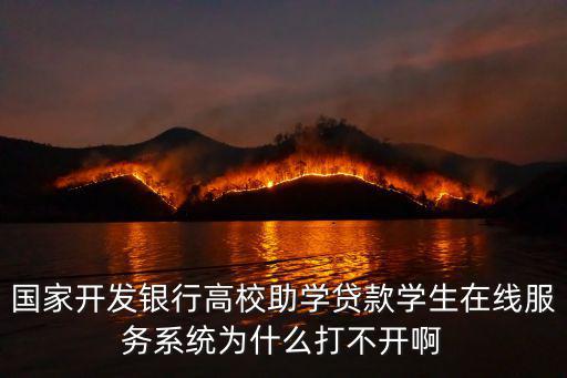 高校貸款怎么維護(hù)了，國(guó)家開(kāi)發(fā)銀行高校助學(xué)貸款學(xué)生在線服務(wù)系統(tǒng)為什么打不開(kāi)啊