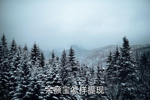 余額寶怎么提現(xiàn)，余額寶的錢怎么提現(xiàn)到支付寶里