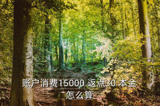 賬戶消費15000 返點30 本金怎么算