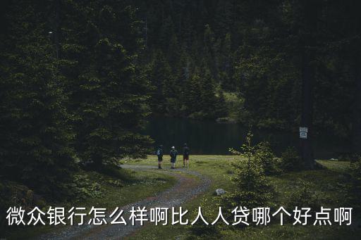 微眾銀行怎么樣啊比人人貸哪個好點啊