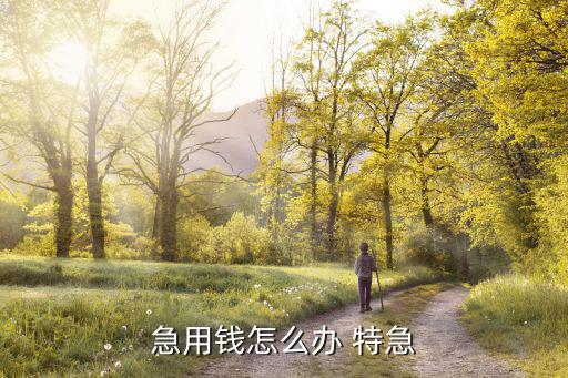 急需用錢怎么辦，急需用錢怎么辦