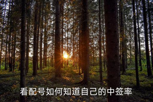看配號(hào)如何知道自己的中簽率