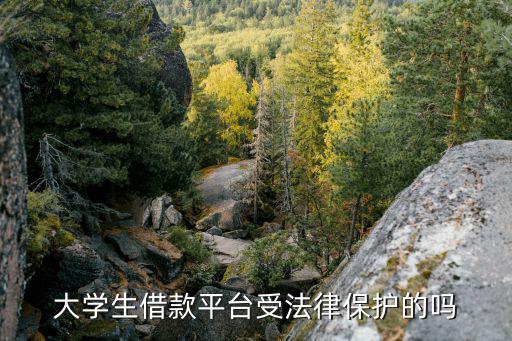 大學(xué)生借款平臺受法律保護(hù)的嗎
