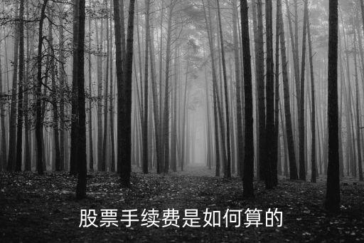 股票手續(xù)費(fèi)是如何算的