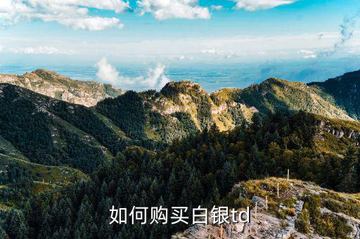 如何購(gòu)買白銀td