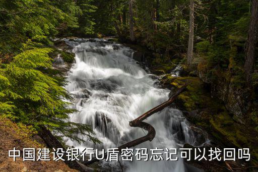 中國(guó)建設(shè)銀行U盾密碼忘記可以找回嗎