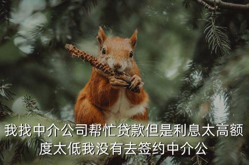 我找中介公司幫忙貸款但是利息太高額度太低我沒有去簽約中介公