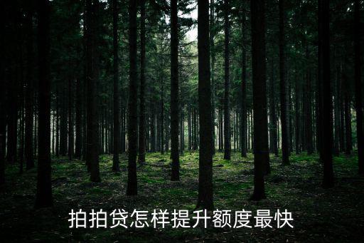 拍拍貸怎么提高額度，拍拍貸有什么辦法能快速提升貸款額度