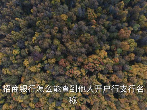 招商銀行怎么能查到他人開戶行支行名稱