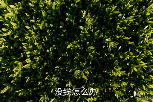 沒錢怎么辦，沒錢怎么辦