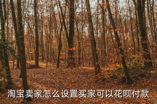 淘寶賣家怎么設(shè)置買家可以花唄付款