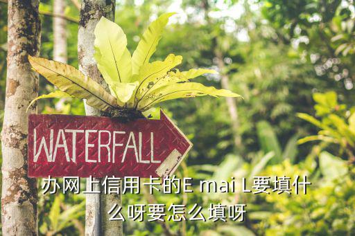 辦網(wǎng)上信用卡的E mai L要填什么呀要怎么填呀
