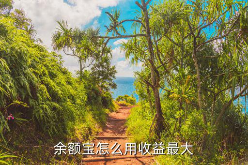 怎么用余額寶，電腦上面怎么使用余額寶支付