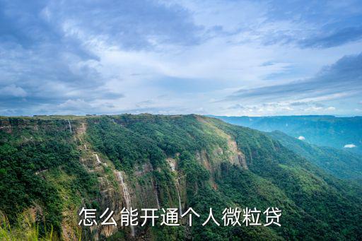 微粒貸怎么申請(qǐng)開(kāi)通，微眾銀行微粒貸怎么開(kāi)通申請(qǐng)