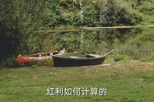 怎么算紅利，紅利如何計算的