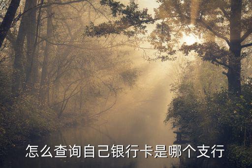 怎么查詢自己銀行卡是哪個支行