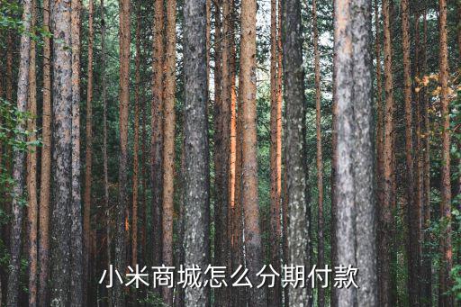 小米分期付款怎么開通，小米商城怎么分期付款