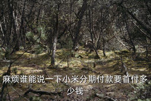 麻煩誰(shuí)能說(shuō)一下小米分期付款要首付多少錢