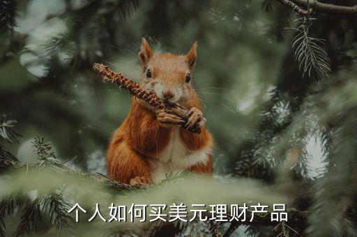 個(gè)人如何買(mǎi)美元理財(cái)產(chǎn)品