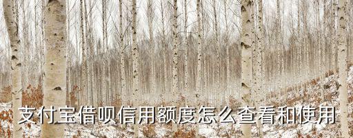 螞蟻借唄額度怎么看，支付寶借唄信用額度怎么查看和使用