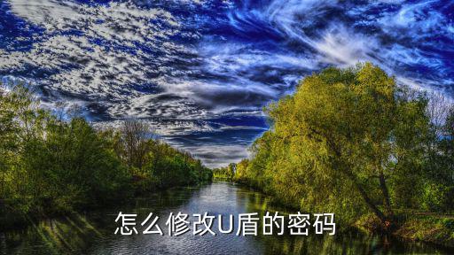怎么修改U盾的密碼