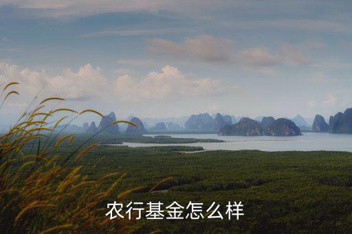 農(nóng)行基金怎么樣