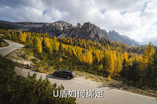U盾如何綁定