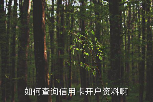 如何查詢信用卡開戶資料啊