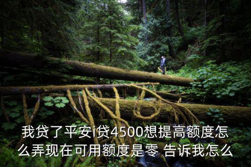 我貸了平安i貸4500想提高額度怎么弄現(xiàn)在可用額度是零 告訴我怎么
