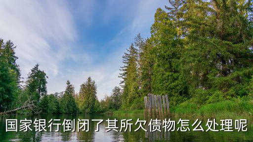 國家銀行倒閉了其所欠債物怎么處理呢