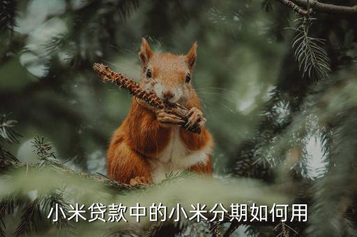 小米貸款中的小米分期如何用