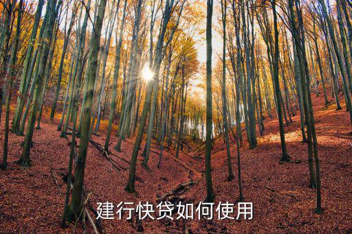 建行快貸如何使用