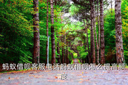 怎么提高螞蟻借唄的額度嗎，螞蟻借唄客服電話螞蟻借唄怎么提高額度