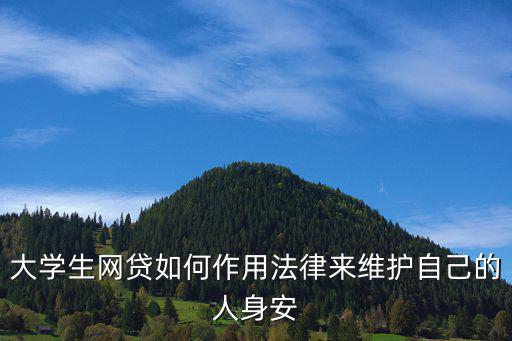 大學(xué)生網(wǎng)貸如何作用法律來維護(hù)自己的人身安