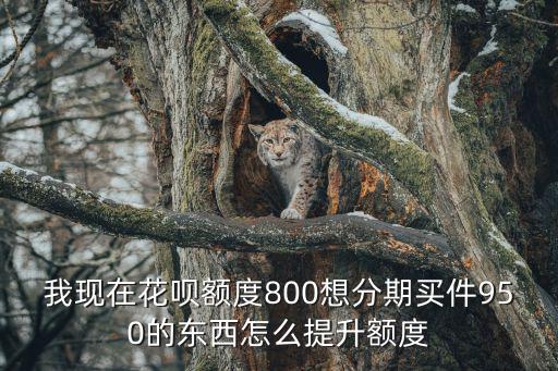 我現(xiàn)在花唄額度800想分期買件950的東西怎么提升額度