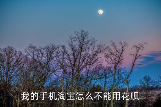 手機(jī)淘寶怎么螞蟻花唄，我的手機(jī)淘寶怎么不能用花唄